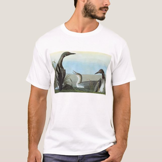 Camiseta Audubon: Mergulhão-do-norte ártico (Frente)
