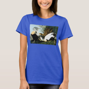 Camiseta Audubon: Pato de êider