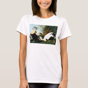 Camiseta Audubon: Pato de êider