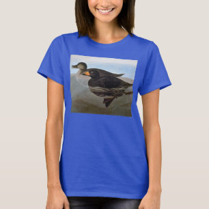 Camiseta Audubon: Scoter Preto