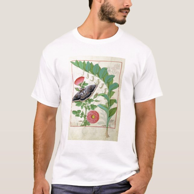 Camiseta Aumentou e o Polygonatum (Frente)