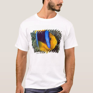 Camiseta Austrália, Barreira de Excelente Recife, Anêmono
