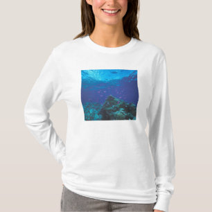 Camiseta Austrália, Barreira Excelente Recife. Púrpura enxu