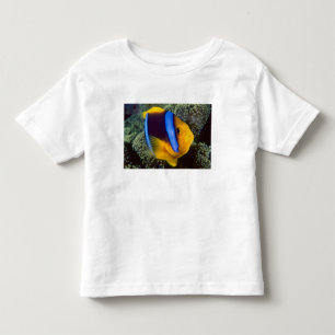 Camiseta Austrália, Grande Barreira de Coral, Peixe-palhaço