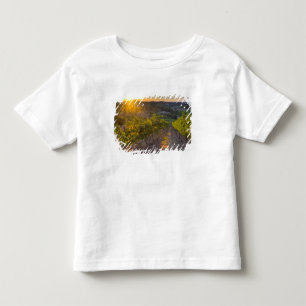 Camiseta Austrália Meridional, Adelaide Hills, Summertown.
