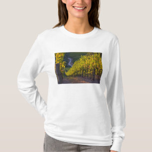 Camiseta Austrália Meridional, Adelaide Hills, Summertown. 