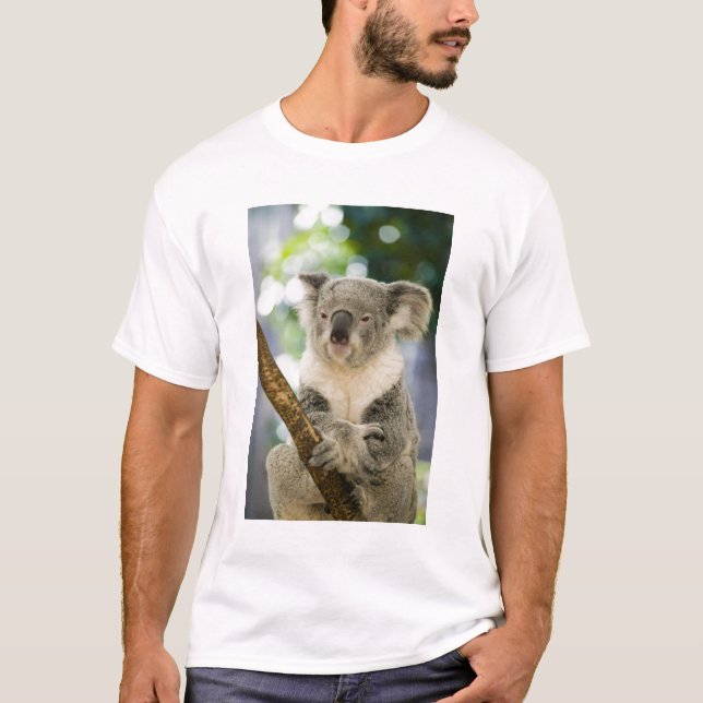 Camiseta Austrália, Queensland, Brisbane, Fig Tree (Frente)