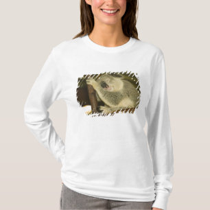 Camiseta Austrália, Queensland, Brisbane. Figueira