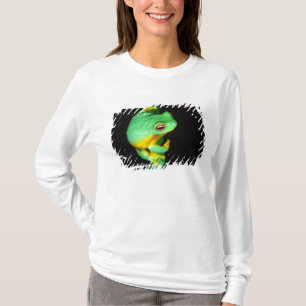 Camiseta Australian Red Eye Treefrog, Litoria chloris,