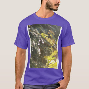 Camiseta Autumn Rays 53