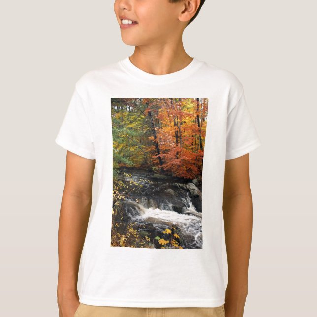 Camiseta Autumn Waterfall (Frente)