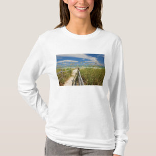 Camiseta Aveia do mar Uniola paniculata) crescendo pela pra