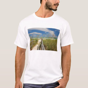 Camiseta Aveia do mar Uniola paniculata) crescendo pela pra