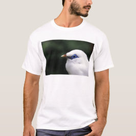 Camiseta Aves