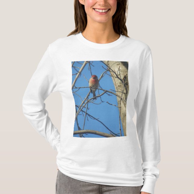Camiseta Aves Cardinais (Frente)