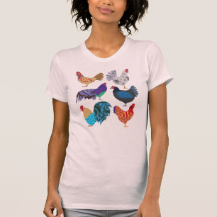 Camiseta Aves Coloridas Da Variedade De Galinha