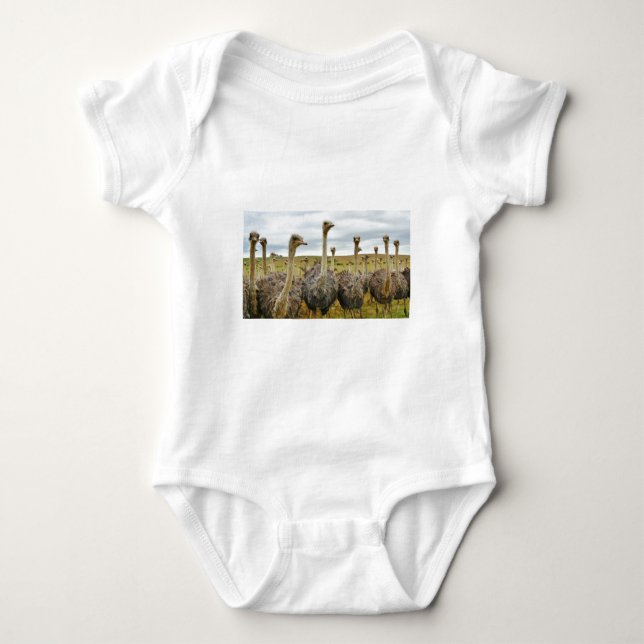 Camiseta avestruz (Frente)