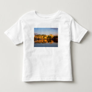 Camiseta Avinhão, Vaucluse, Provença, França, Ródano