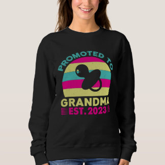 Camiseta Awesome Promoted to grandma 2023 pregnancy announc