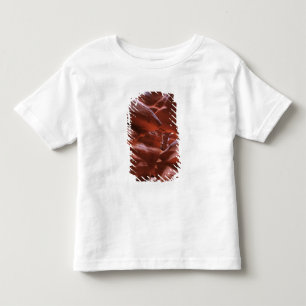 Camiseta AZ, Arizona, Page, Upper Antelope Canyon