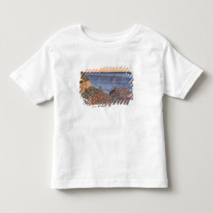 Camiseta AZ, Arizona, Parque Nacional Grand Canyon, Sul 2