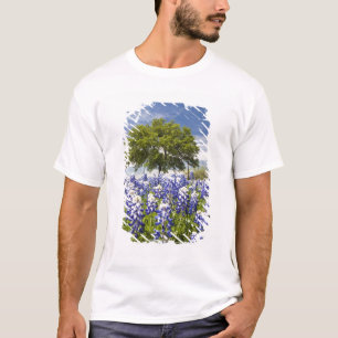 Camiseta Azebonetos (lupinus texensis) e carvalho
