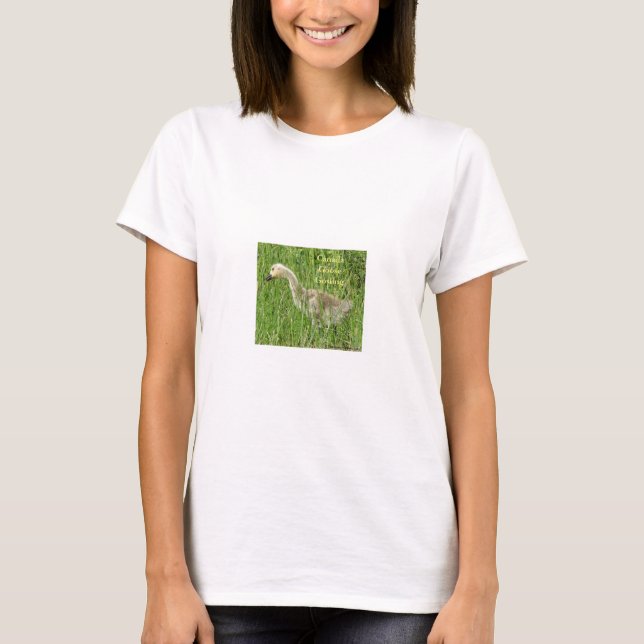 Camiseta B58 Ganso Canadense Filhote na Grama (Frente)