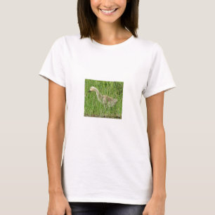 Camiseta B58 Ganso Canadense Gosling na Grama