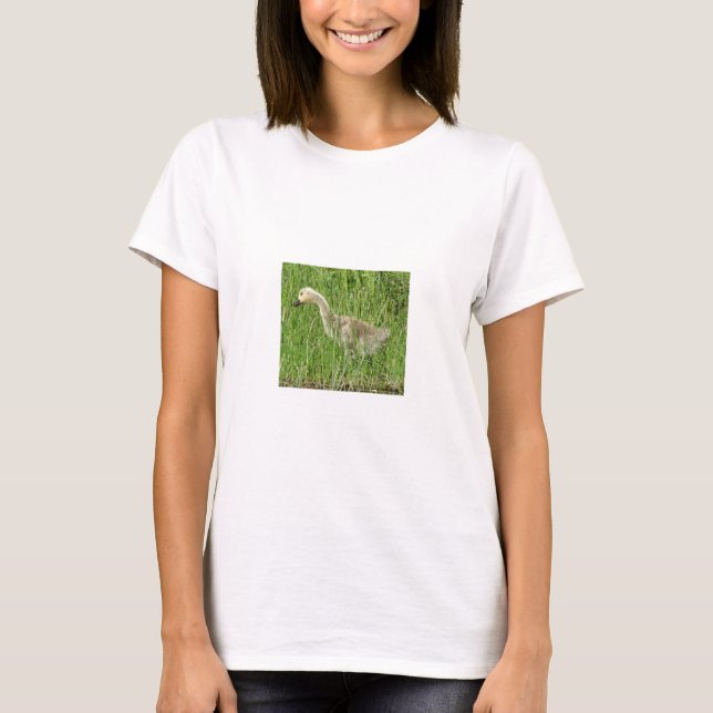 Camiseta B58 Ganso Canadense Gosling na Grama (Frente)