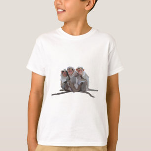 Camiseta B é para Bonnet Macaque.