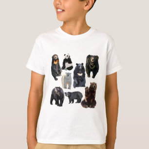Camiseta B é para Urso
