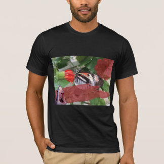 Camiseta $ B$ $harks & Old English
