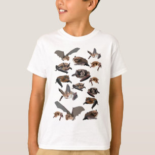 Camiseta B para Bats Britânicos