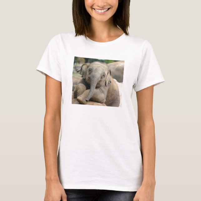 Camiseta Baby elephant (Frente)