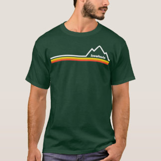 Camiseta Bacia de neve Utah 1