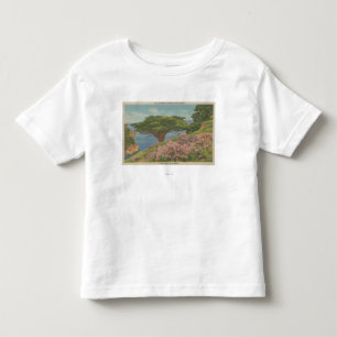 Camiseta Baía de Carmel, CA - vista "da árvore do veteran