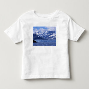 Camiseta Baía de Desencanto e Geleira Hubbard,