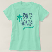 Baía Honda Florida fecha a palmeira