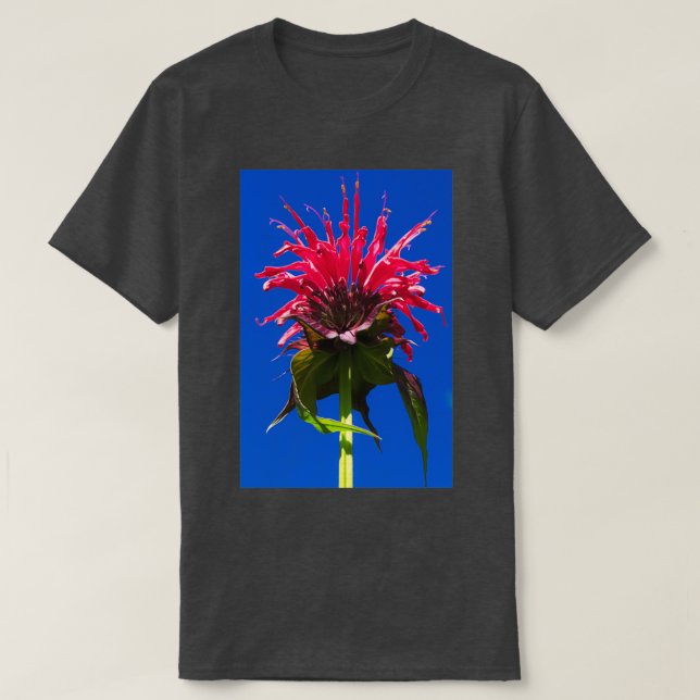 Camiseta Balão de abelhas (Frente do Design)