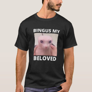 Camiseta Bald Bingus Meu Amado Gato De Esfinge Sem Cabelos