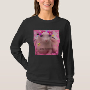 Camiseta Bald Bingus Meu Amado Gato Sphynx Sem Pelo