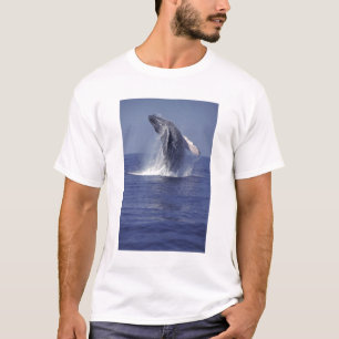 Camiseta Baleia-jubarte saltando (Megaptera