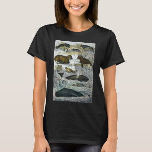 Camiseta Baleias, Focas e Cavalos-Marinhos, Animais Marinho