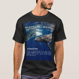 Camiseta Baleias jubarte Equolocação Fato Divertido de Bale