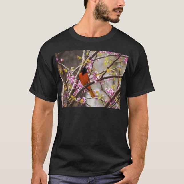 Camiseta Baltimore Oriole (Frente)