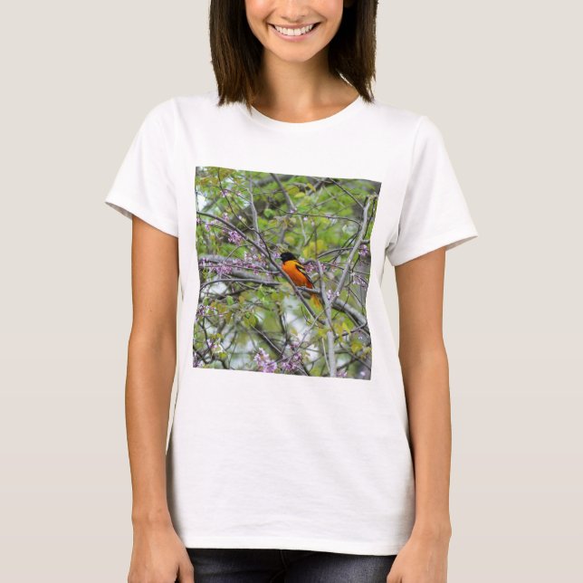 Camiseta Baltimore Oriole (Frente)