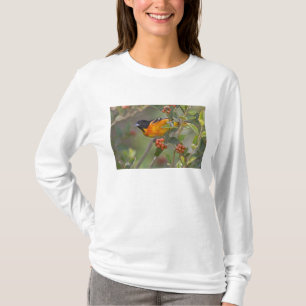 Camiseta Baltimore Oriole