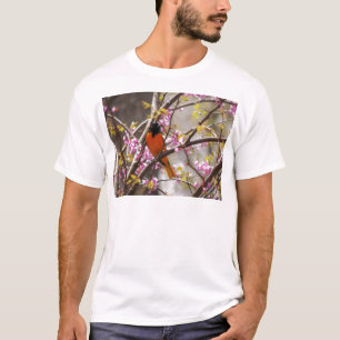 Camiseta Baltimore Oriole