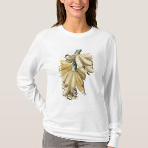 Camiseta Banana, 1816