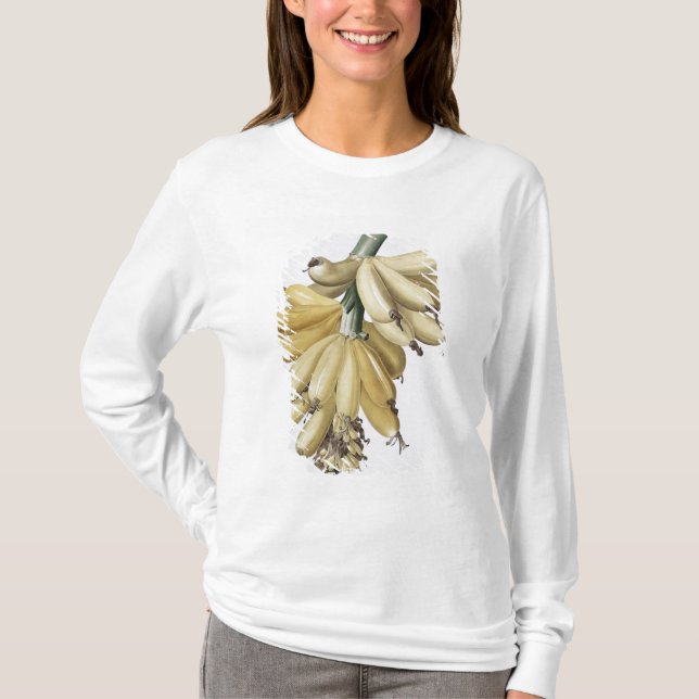 Camiseta Banana, 1816 (Frente)
